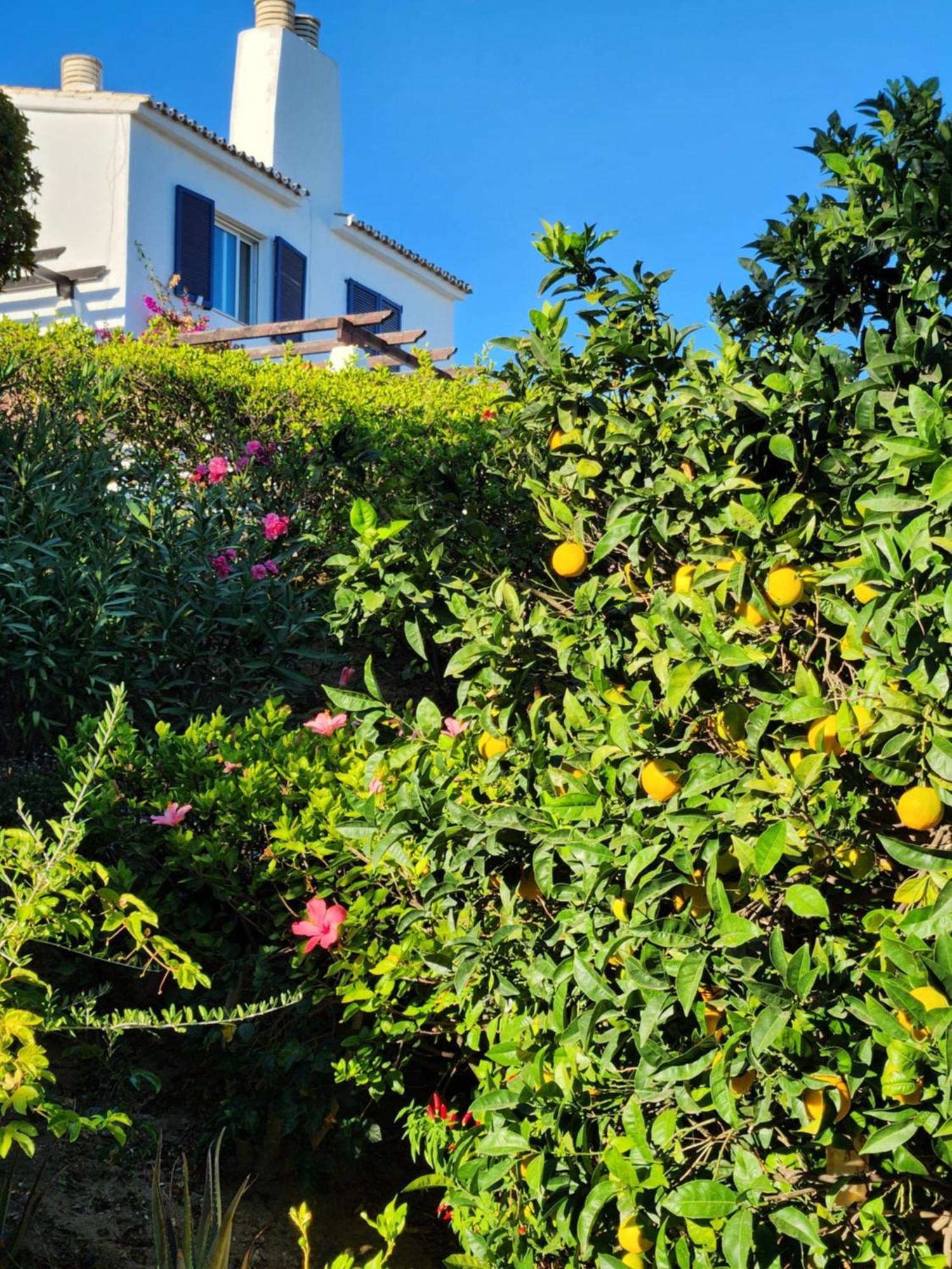 Elena Flat A Little Paradise Right On The Beach Sitio de Calahonda Exterior foto